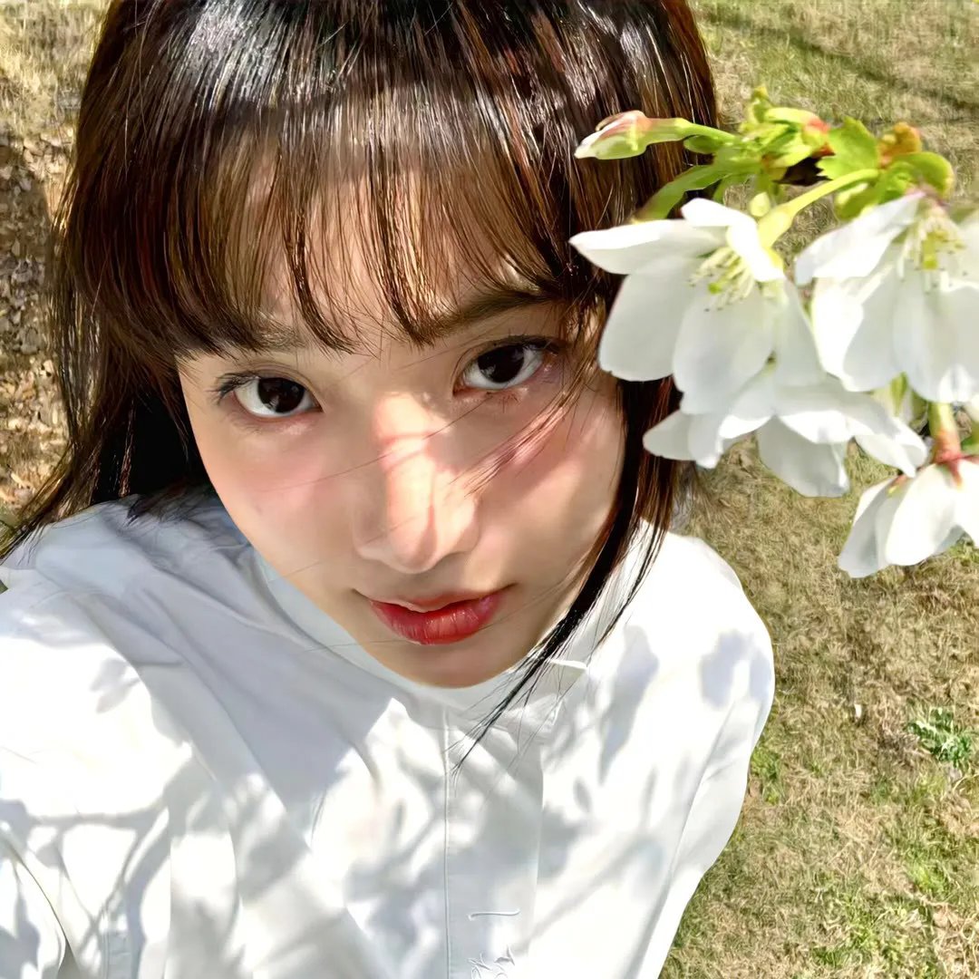 妄想学生会第一季
