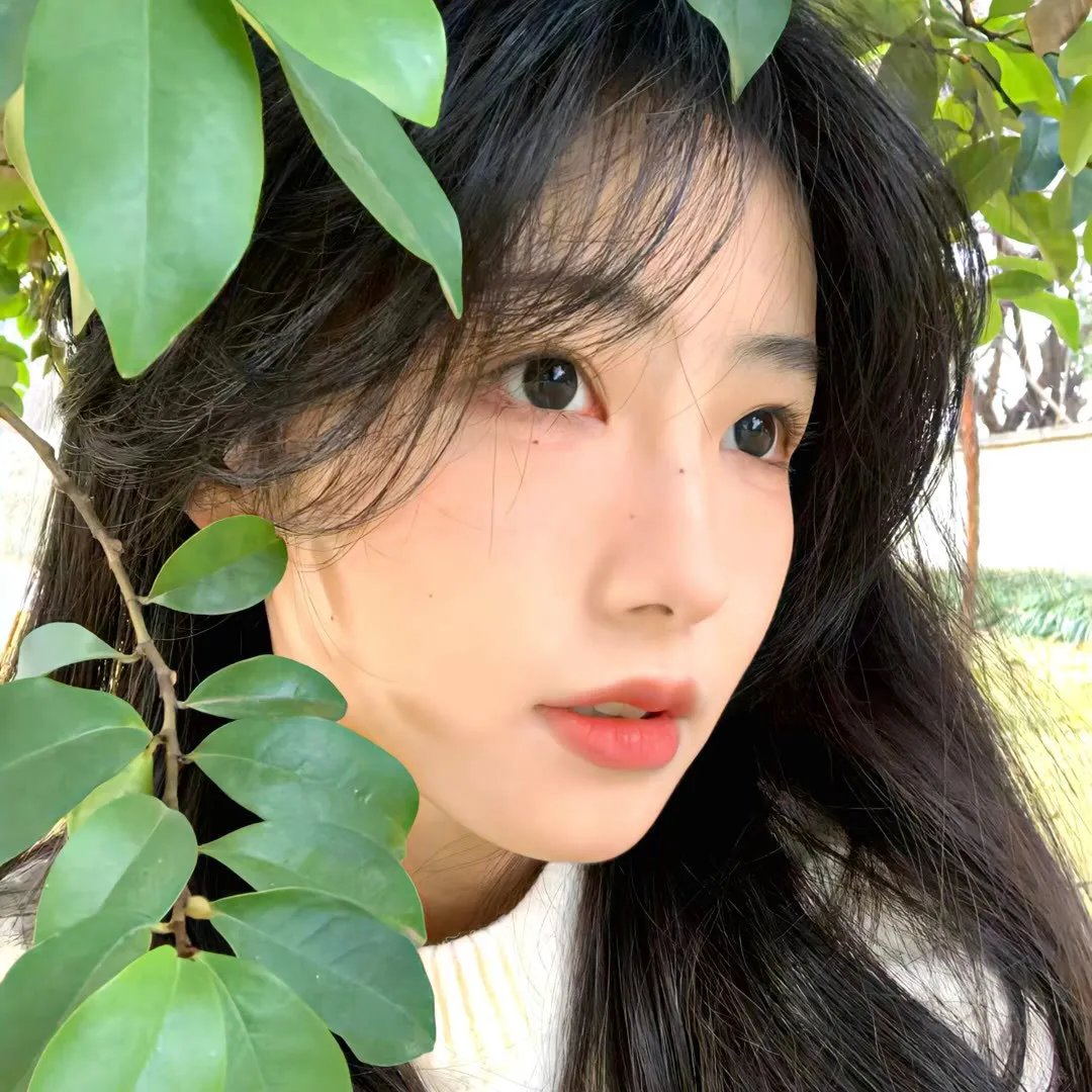 泪的小雨